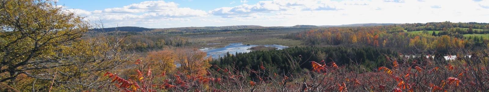 Oak Ridges Trail Association Articles In Tagalog