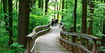 Kortright Centre