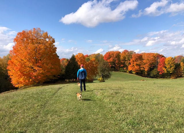 2022 Cheryl Fisher Happy Valley Side Trail King