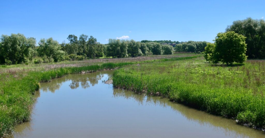 2022 Holland River Heather