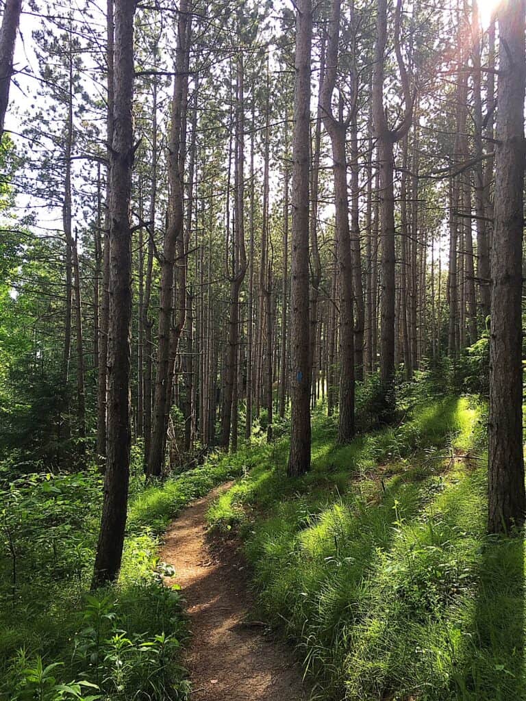 54B49812-1B4A-4F6E-8696-EED5FF2E418B