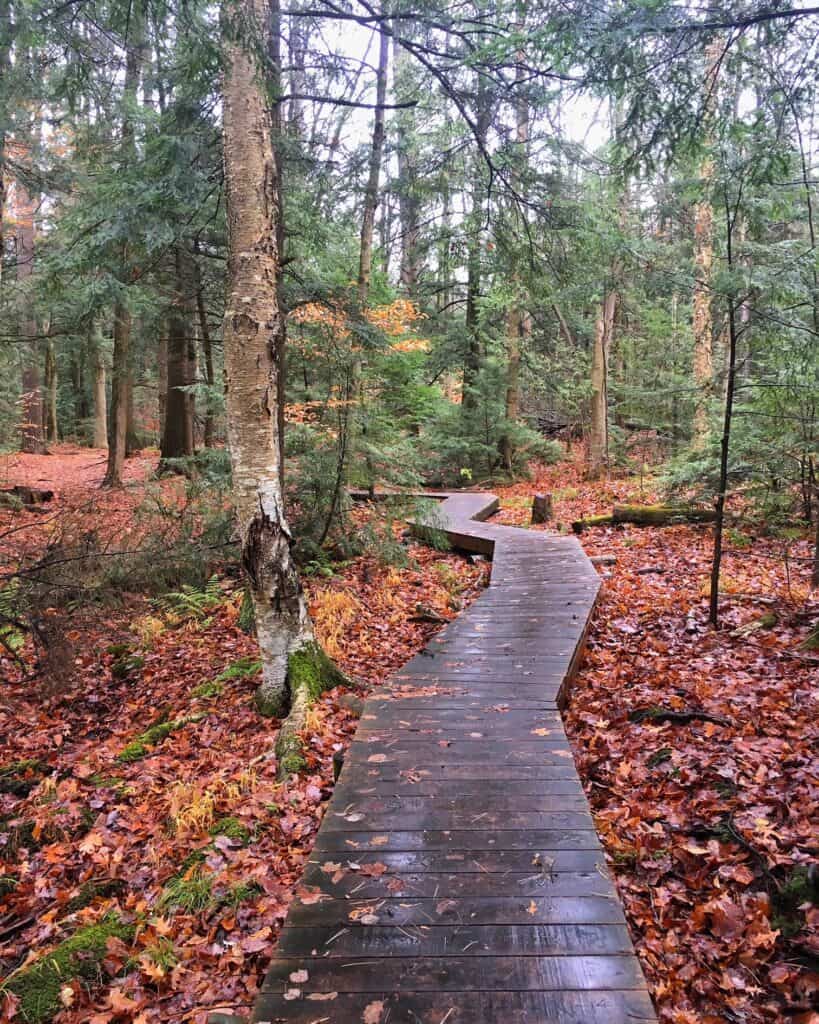 B4A11CE5-ECC8-4D8F-81FE-C322BF5ECF04